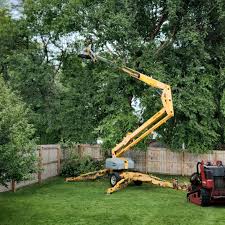 Best Tree Preservation Services  in Galion, OH