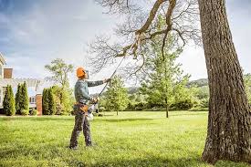 Best Emergency Tree Removal  in Galion, OH