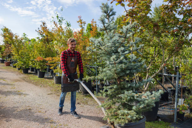 Best Fruit Tree Pruning  in Galion, OH